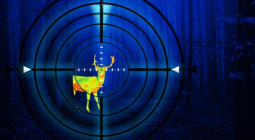 best crossbow scope for night hunting